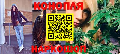трава Кингисепп