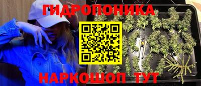 круглые Кимры