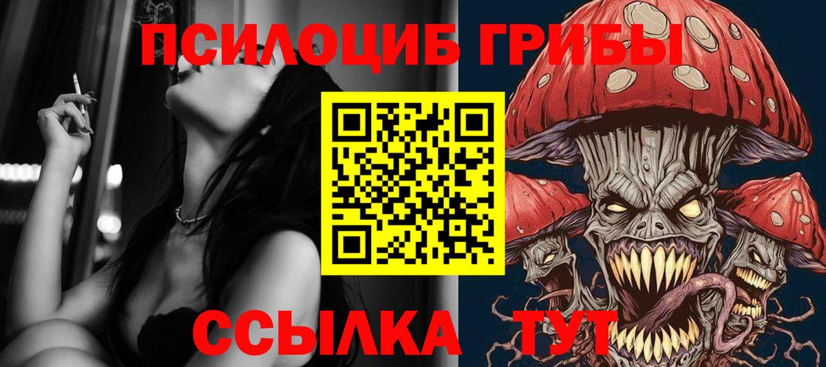 Краснодар  Псилоцибиновые грибы мицелий  Вход с VPN 