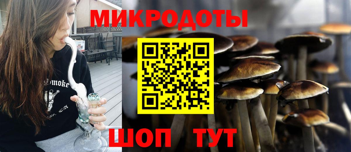 Галлюциногенные грибы GOLDEN TEACHER  Галлюциногенные грибы Psilocybine cubensis  Краснодар 