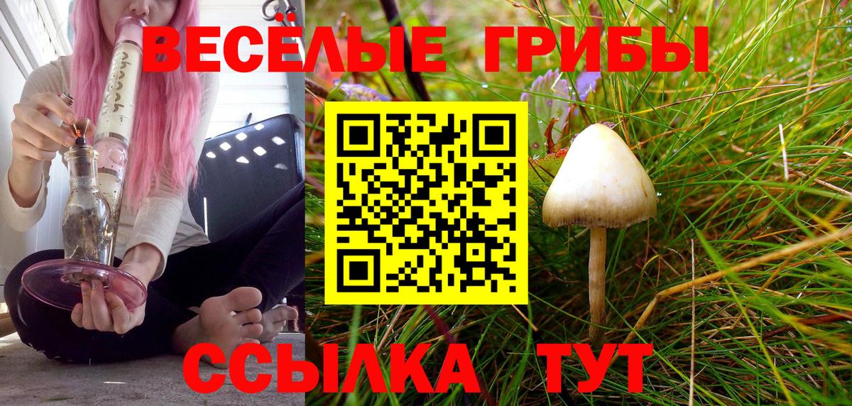 Псилоцибиновые грибы GOLDEN TEACHER Краснодар