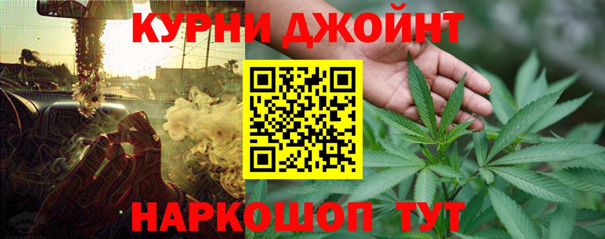 Бошки Шишки ГИДРОПОН  Краснодар  Шишки марихуана Bruce Banner  Бошки Шишки семена  Шишки марихуана сатива 